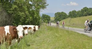 Course velo